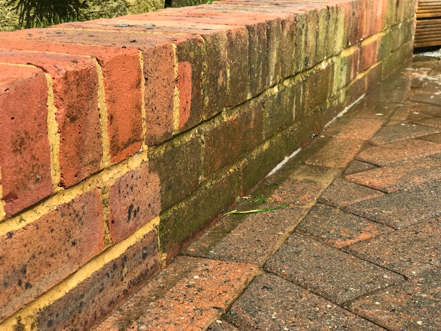 algae on brick wall , brick cleaning needed, half clean brick wall 