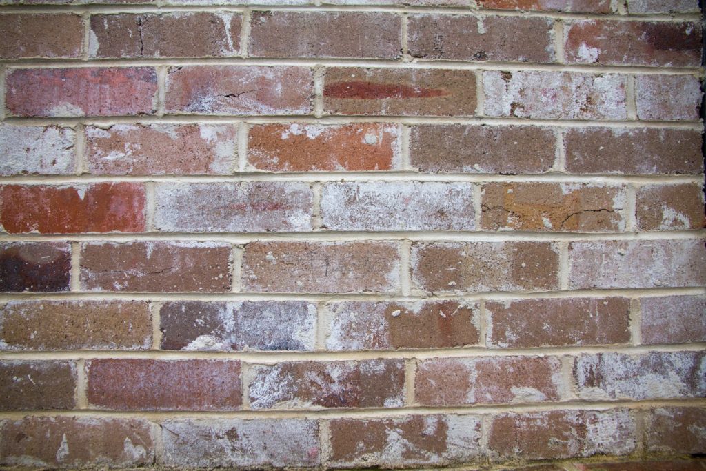 why is my brick wall turning white - efflorescence